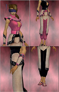 Monk Obsidian Armor Pink Set.jpg