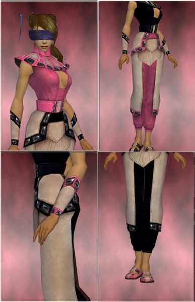 File:Monk Obsidian Armor Pink Set.jpg