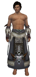 Dervish Norn armor m gray front arms legs.png