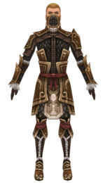 Ranger Elite Canthan armor m dyed front.jpg