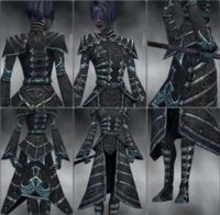 Screenshot Necromancer Cultist armor f dyed Silver.jpg