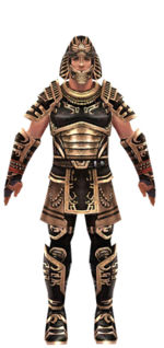Warrior Ancient armor m dyed front.jpg