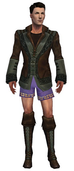 File:Mesmer Istani armor m gray front chest feet.png