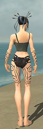 Necromancer Scar Pattern armor f gray back arms legs.jpg