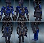 Screenshot Necromancer Elite Necrotic armor f dyed Blue.jpg