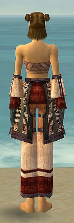 Monk Ancient armor f gray back arms legs.jpg