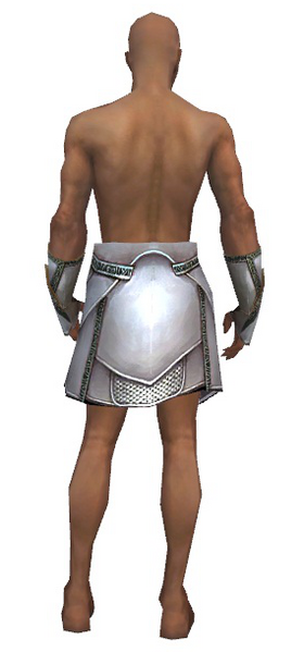 File:Paragon Asuran armor m gray back arms legs.png
