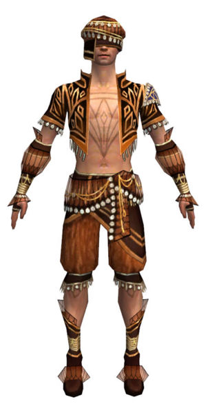 File:Ritualist Vabbian armor m dyed front.jpg