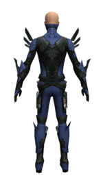 Guild Wars Assassin Armor on Gallery Of Male Assassin Imperial Armor   Guild Wars Wiki  Gww