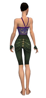 Mesmer Elite Luxon armor f gray back arms legs.png