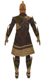 Ranger Elite Druid armor m dyed back.jpg