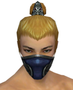 Assassin Norn Mask m gray front.png