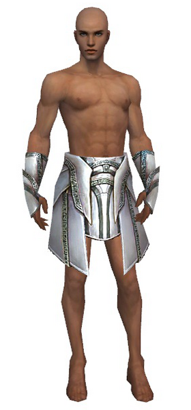 File:Paragon Asuran armor m gray front arms legs.png