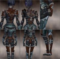 Screenshot Necromancer Tyrian armor f dyed Brown.jpg
