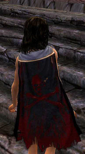 File:Guild Master Knights Of Life cape.jpg