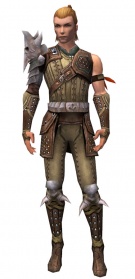 Guild Wars Ranger Armor on Ranger Studded Leather Armor   Guild Wars Wiki  Gww