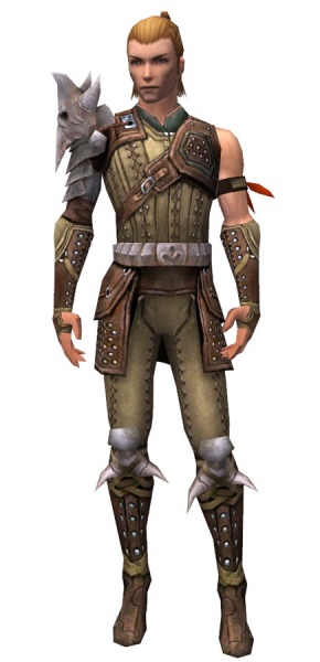 File:Ranger Studded Leather armor m.jpg