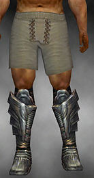 Warrior Sturdy Boots armor m gray front.jpg