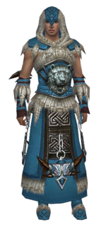 Dervish Norn armor m dyed front.png