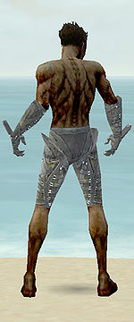 Necromancer Necrotic armor m gray back arms legs.jpg