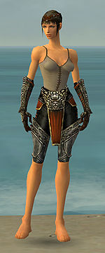 Warrior Elite Canthan armor f gray front arms legs.jpg