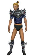 Assassin Norn armor m gray front chest feet.png