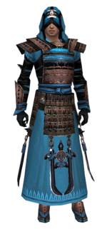 Dervish Monument armor m dyed front.png
