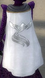 Guild Discoverers Of Worlds cape.jpg