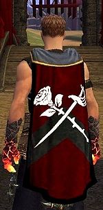 Guild Guile Of The Unbound Templars cape.jpg