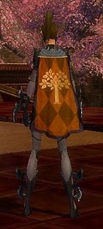 Guild Order Of The Bunny cape.jpg
