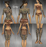 Monk Flowing armor Female Gray overview.jpg