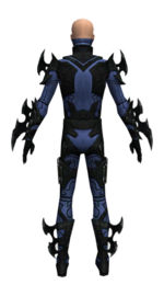 Assassin Kurzick armor m dyed back.jpg