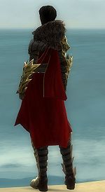Agent of Balthazar costume f red back.jpg