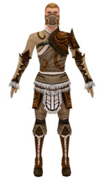Ranger Canthan armor m dyed front.jpg