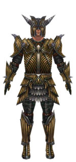 Warrior Wyvern armor m dyed front.jpg