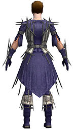 Elementalist Primeval armor m dyed back.jpg