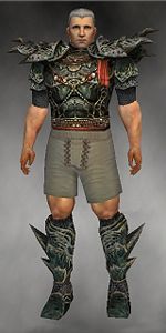 Warrior Elite Luxon armor m gray front chest feet.jpg