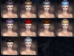 Elemental prophecies hair color f.jpg