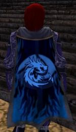 Guild The Kings And Shadows cape.jpg