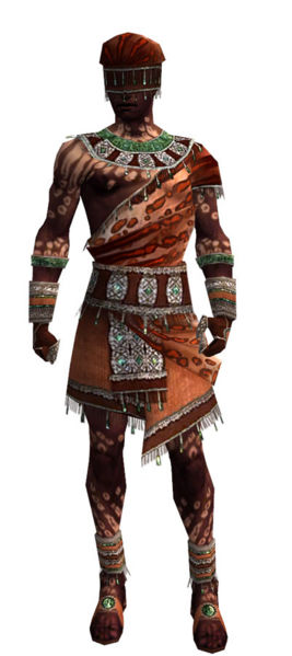 File:Ritualist Elite Exotic armor m.jpg