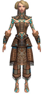 Monk Elite Luxon armor f dyed front.jpg