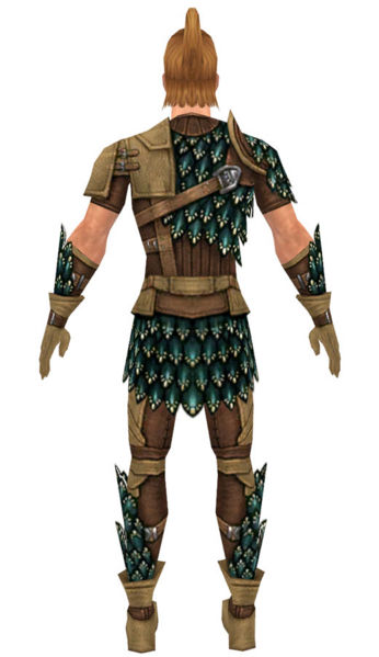 File:Ranger Drakescale armor m dyed back.jpg