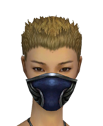 Assassin Norn Mask f gray front.png