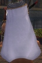 File:Guild The Order Of Truth cape.jpg