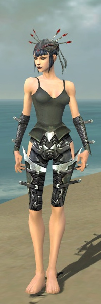 File:Necromancer Profane armor f gray front arms legs.jpg