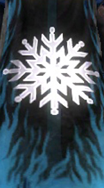 Guild Black Winter cape.jpg