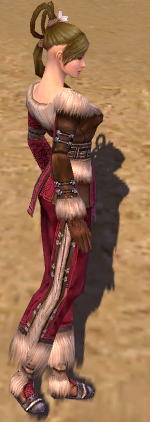 Monk norn armor f dyed right.png