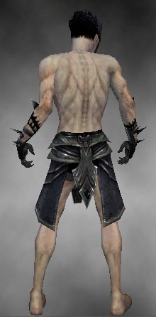 File:Necromancer Obsidian armor m gray back arms legs.jpg
