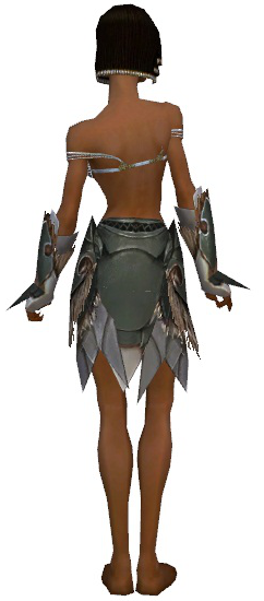 File:Paragon Norn armor f gray back arms legs.png