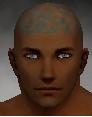 File:Monk Elite Kurzick armor m gray front head.jpg